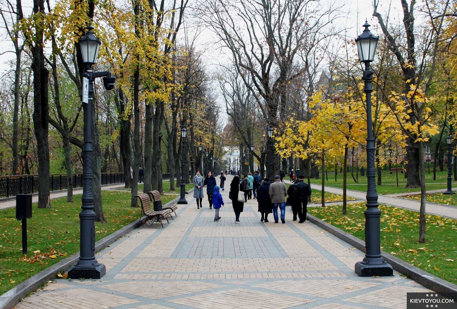 На аллее парка